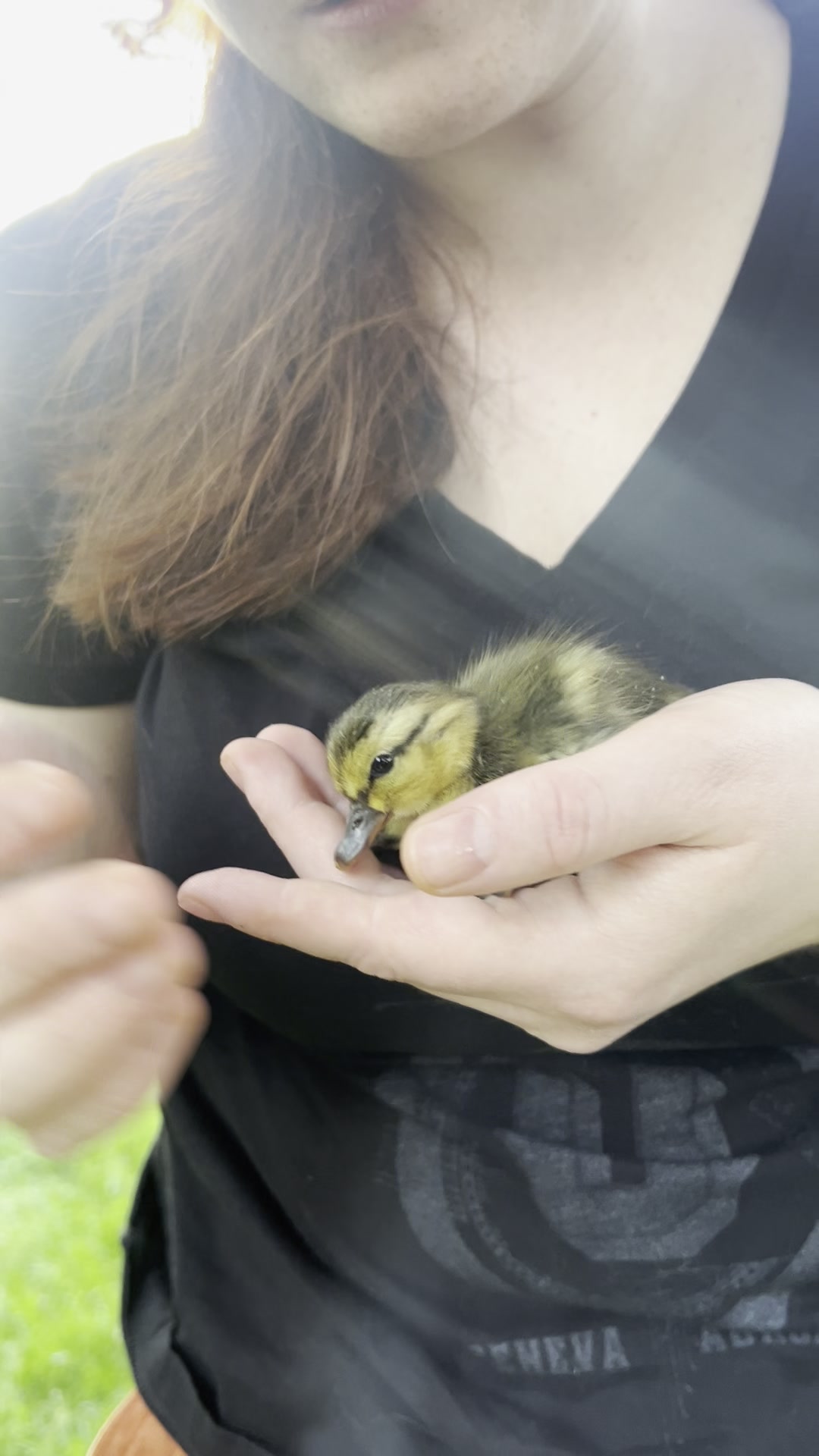 Masha with baby ducklings representing new life